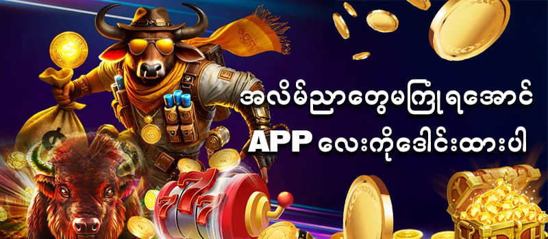 ကျွဲ စလော့ app downloadလုံခြုံရေးအချက်များ